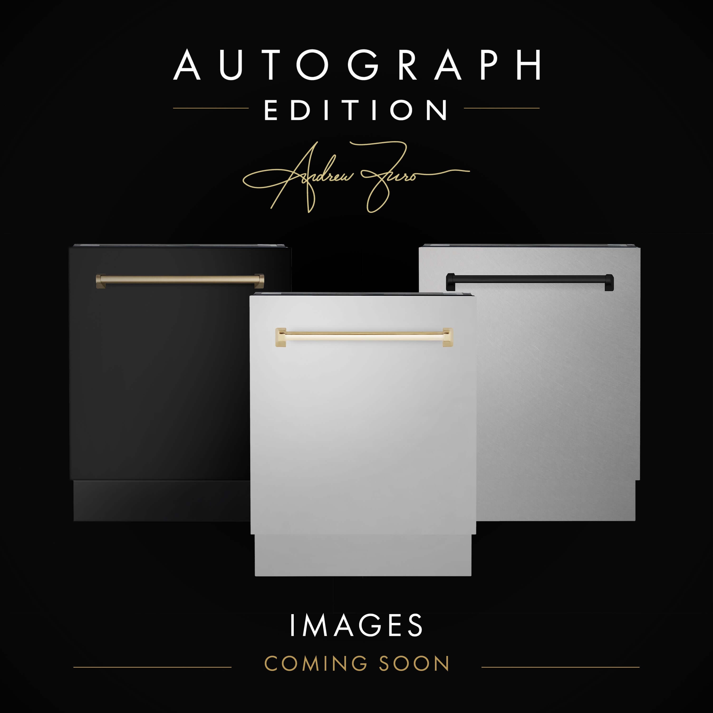 ZLINE 24 in. Autograph Edition Tallac Dishwasher Panel in White Matte with Accented Handle (DPVZ-WM-24)