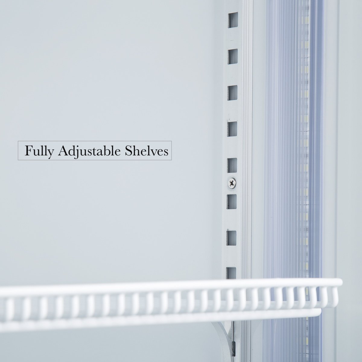 Kings Bottle Display Beverage Cooler Commercial Refrigerator G80