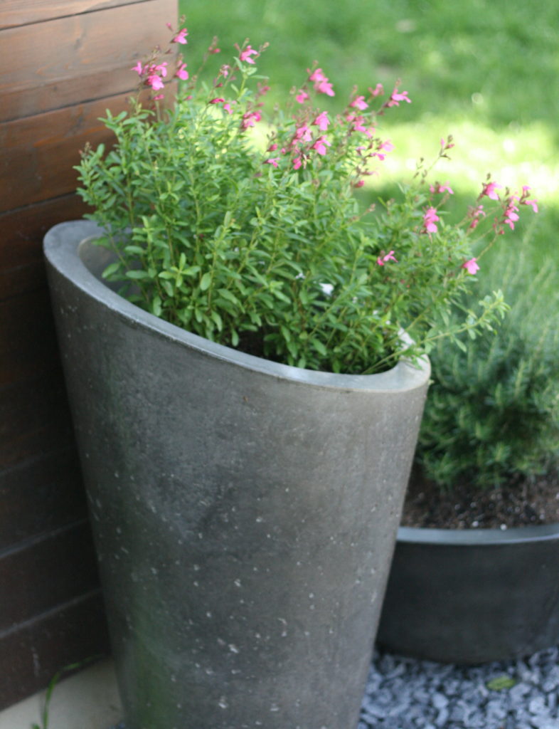 Slick Rock Bouquet Slim Planter