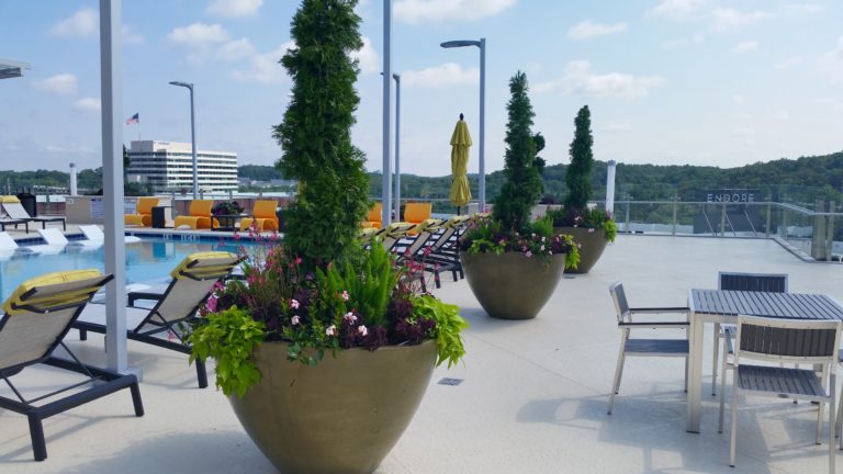 Slick Rock Wave Large Planter