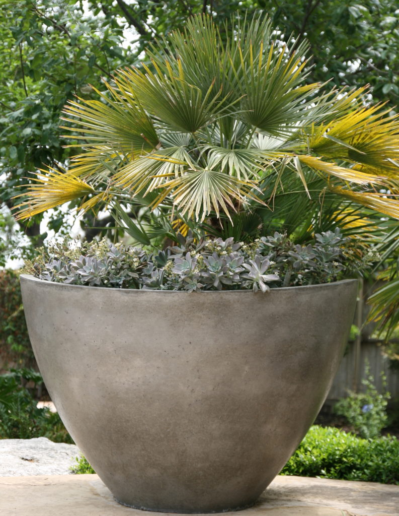 Slick Rock Wave Large Planter