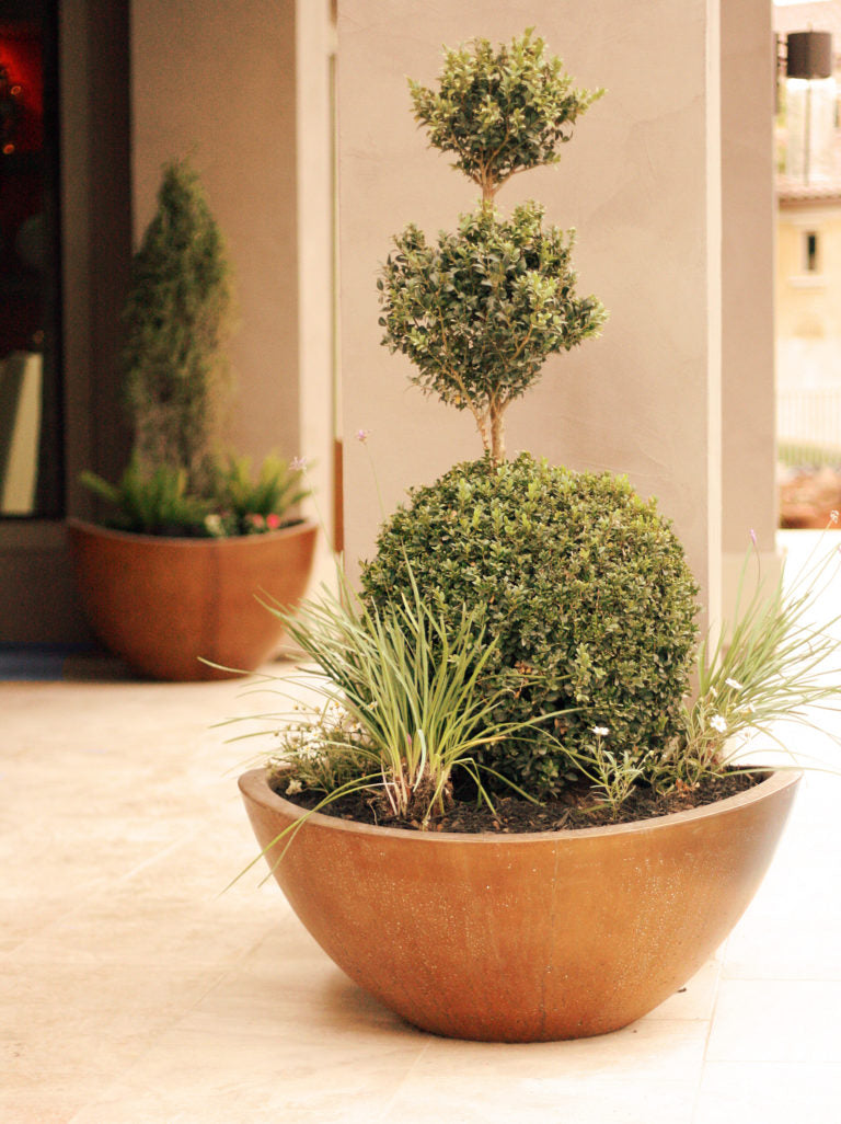 Slick Rock Wave Small Planter