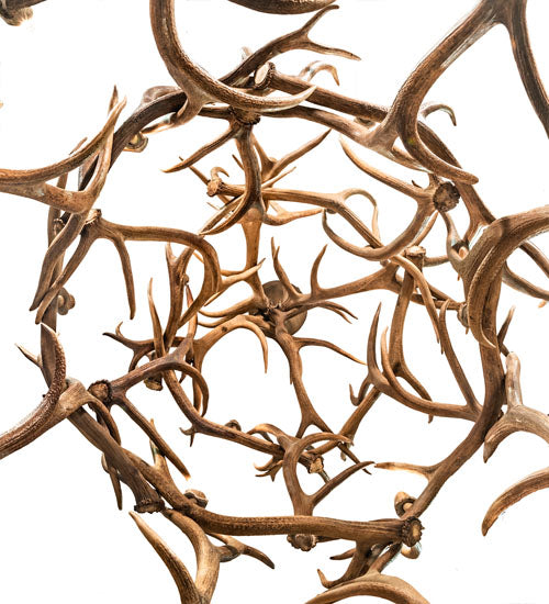 Meyda 70" Wide Antlers Elk 18 Light Chandelier- 212276