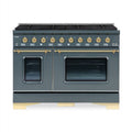 HALLMAN Classico Series 48" Dual Fuel Freestanding Range 8-Sealed Burners with Brass Trim - HCLRDF48BS