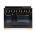 HALLMAN Classico 48-inch Induction Range with Brass Trim - HCLIR48BS