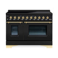 HALLMAN Classico 48-inch Induction Range with Brass Trim - HCLIR48BS