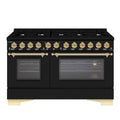 HALLMAN Classico 60" Freestanding Dual Fuel Range Gas Stove-Electric Oven with Brass Trim - HCLRDF60BS