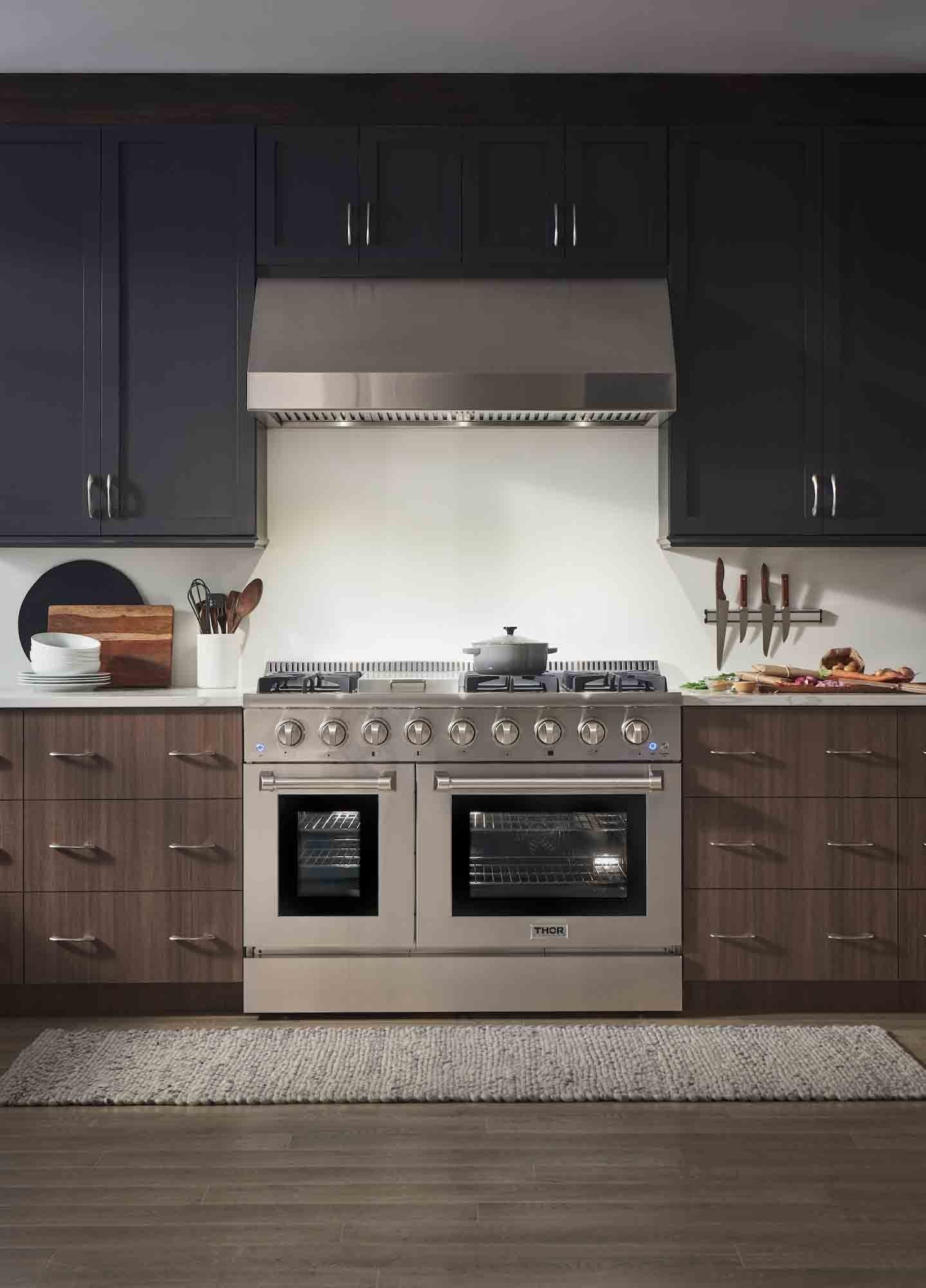 Thor Kitchen 6-Piece Pro Appliance Package - 48-Inch Dual Fuel Range, French Door Refrigerator, Dishwasher, Under Cabinet 11-Inch Tall Hood, Microwave Drawer, & Wine Cooler in Stainless Steel