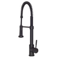 ZLINE Apollo Kitchen Faucet (APL-KF)