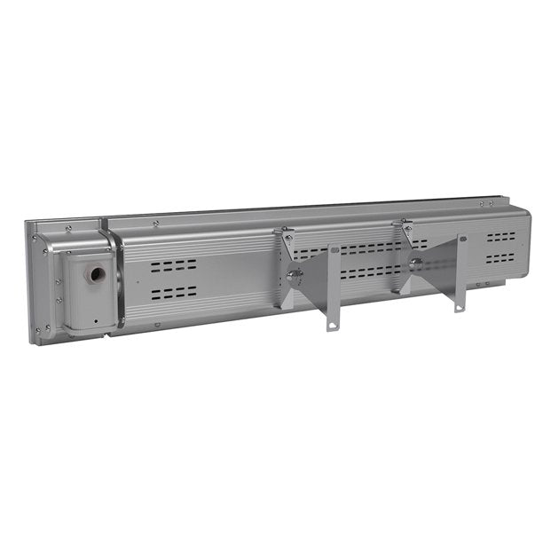 Dimplex 2200-Watt Stainless Steel Infrared Ceiling-Mounted Indoor/Outdoor Electric Heater