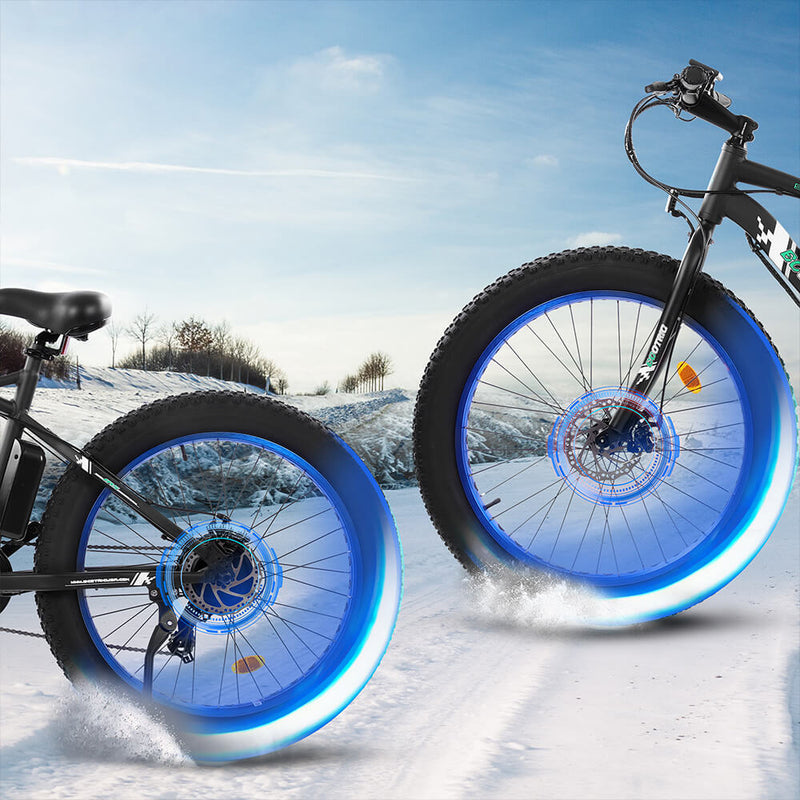 Ecotric Fat Tire Beach Snow Electric Bike