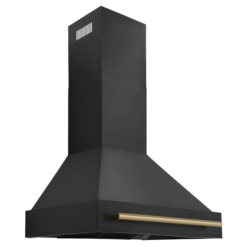 ZLINE 30 in. Autograph Edition Kitchen Package with Black Stainless Steel Dual Fuel Range, Range Hood, Dishwasher and Refrigeration Including External Water Dispenser with Champagne Bronze Accents (4AKPR-RABRHDWV30-CB)